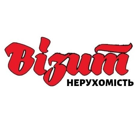 Vizyt-Logo